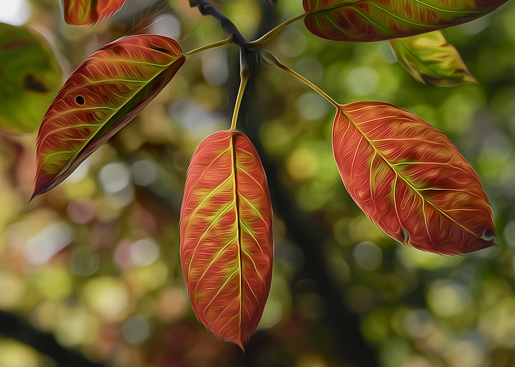 Blatt_DDC4421 als Smartobjekt-1 kopieren.jpg